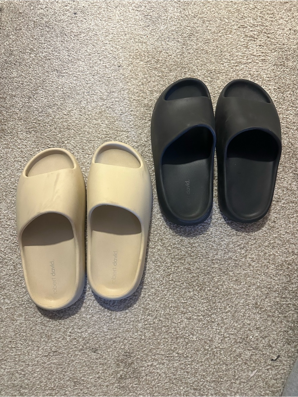 Robert David Men's Slide Sandals in Black and Beige